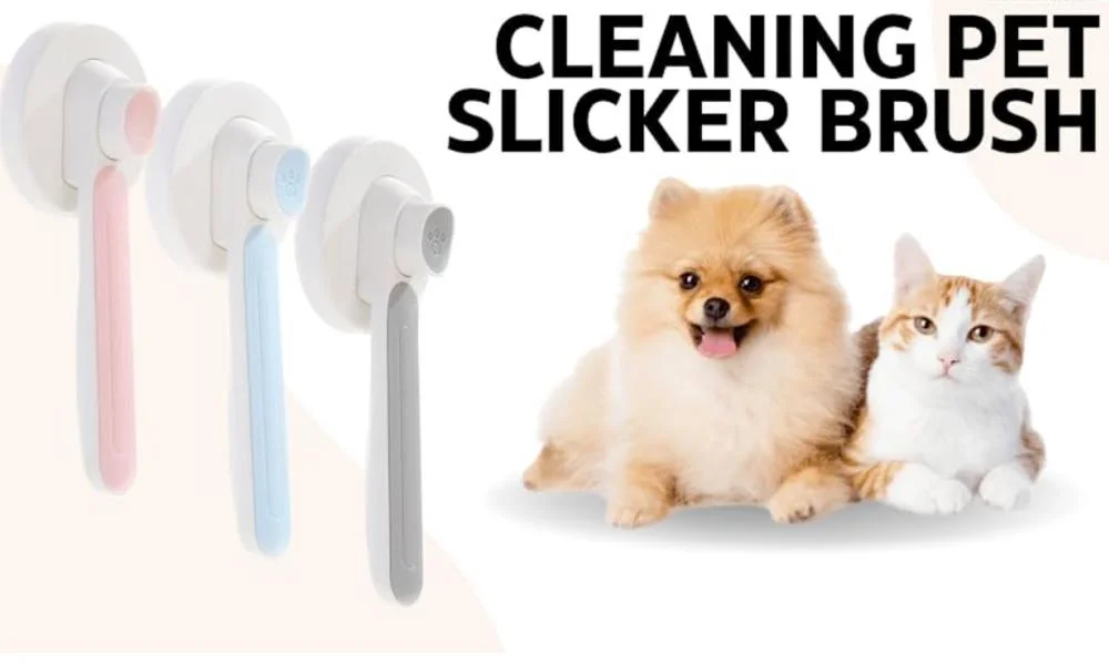 Hot Selling Self Cleaning Slicker Brushes for Dogs &amp; Cats
