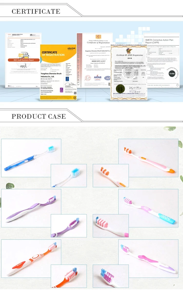 Latest Design Unique Transparent Nylon/PP Folding Travel Bristle Adult Toothbrush